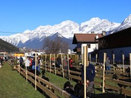 2019_ausstellung polling_017